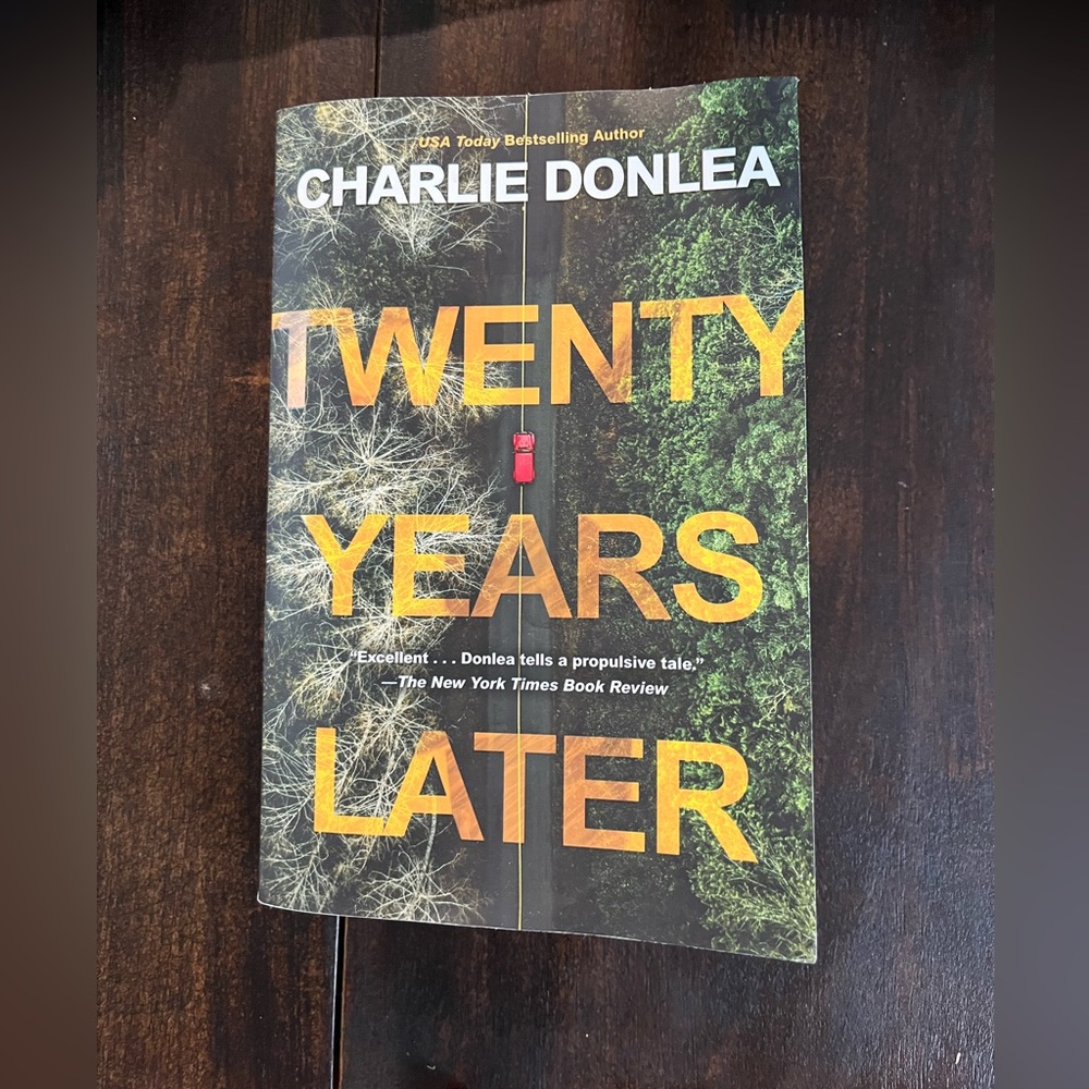 Twenty Years Later Novel